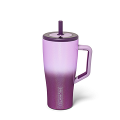 Era 30oz | Violet Crush - Daily Fit